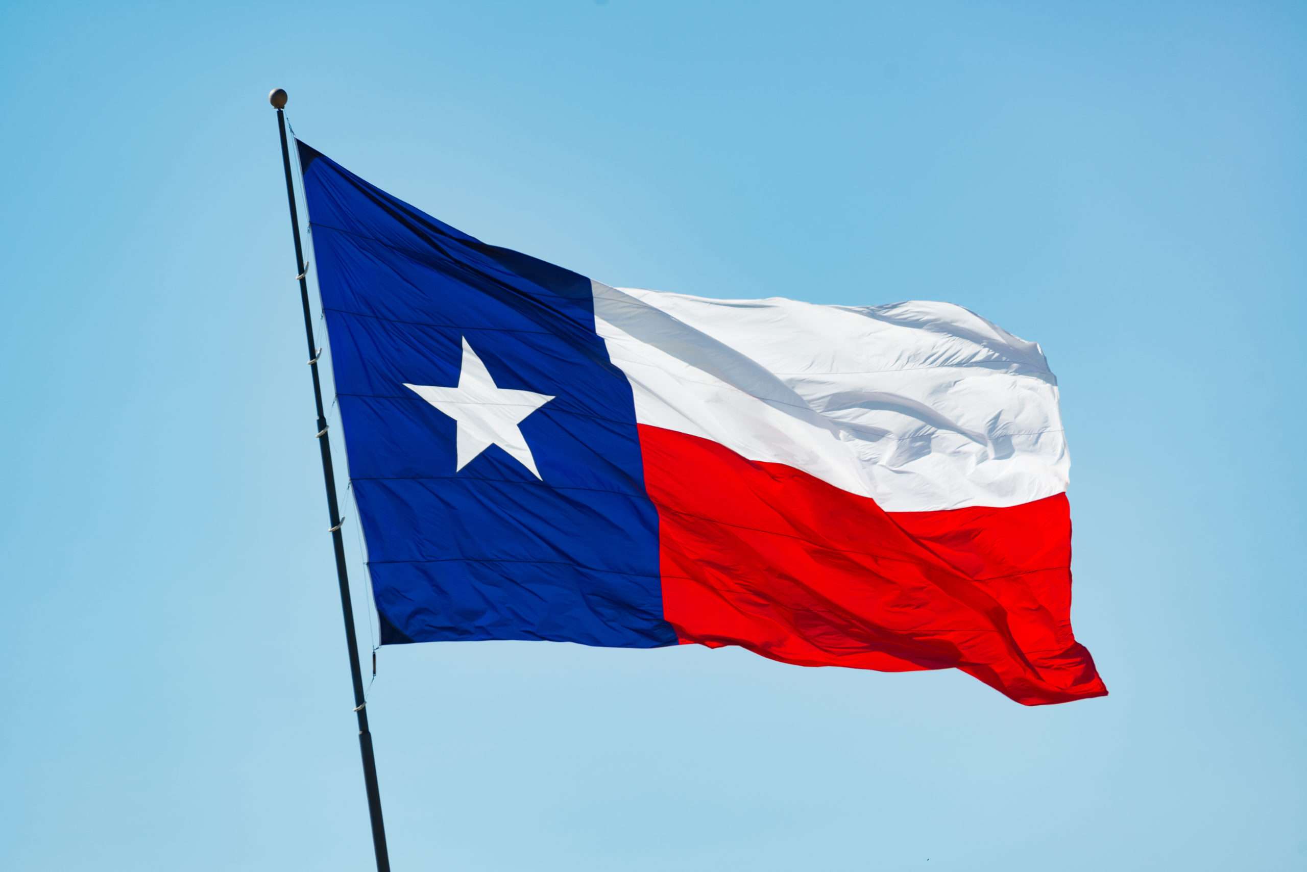 Texas Flag