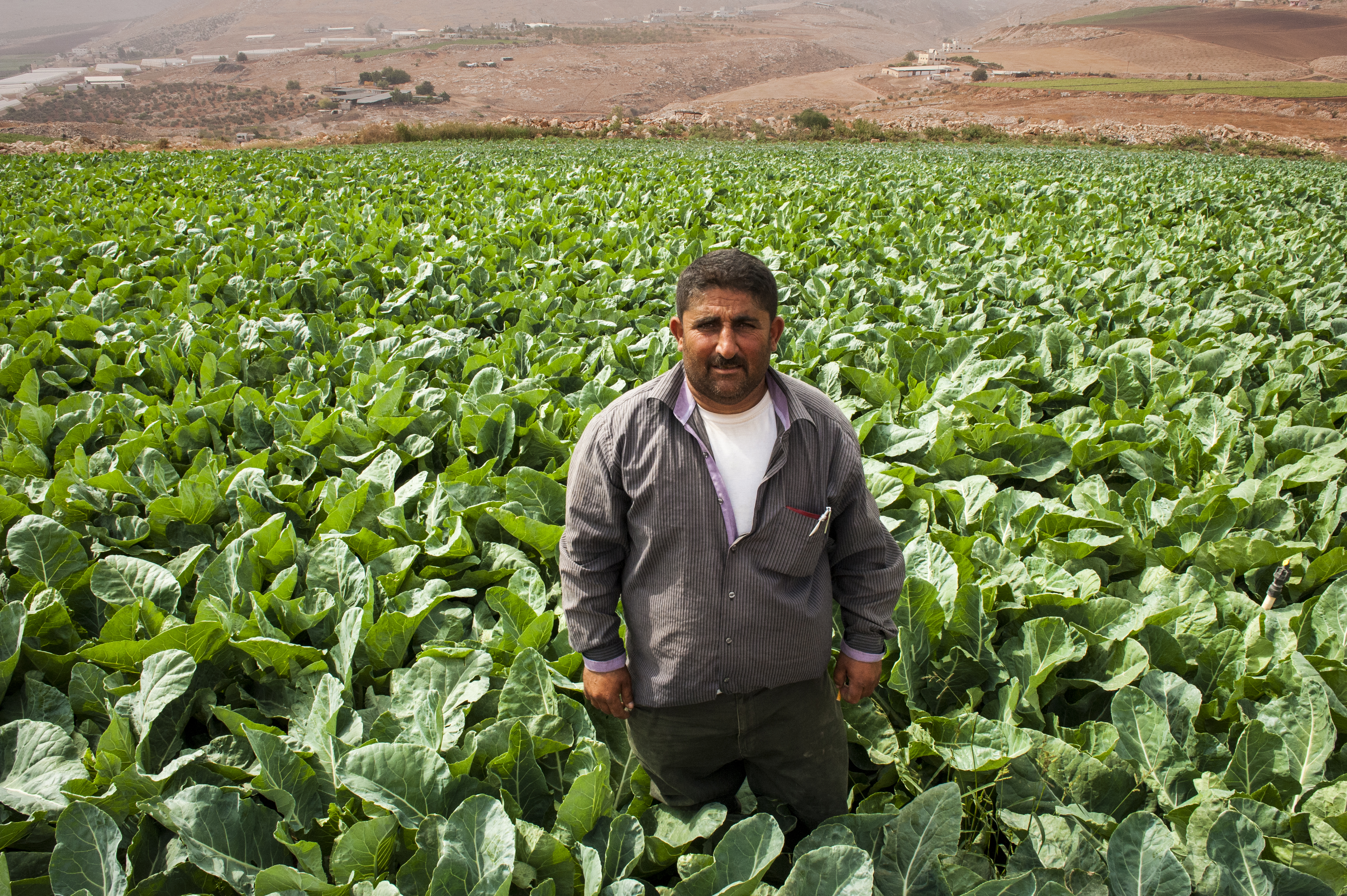 Farmer in field